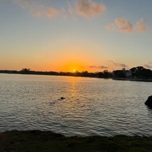 Meet your Posher, Rick